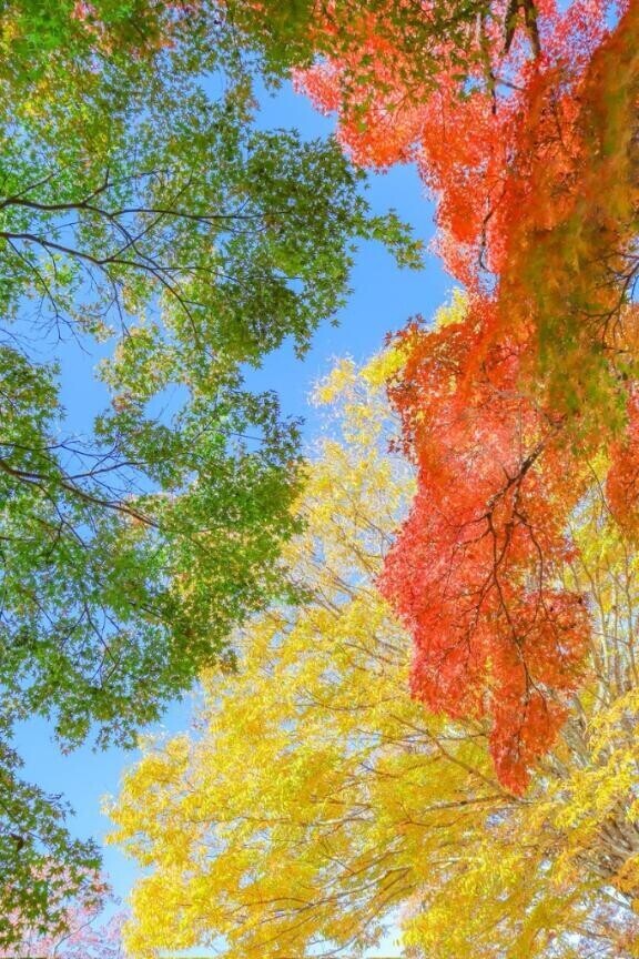 ??おはようございます