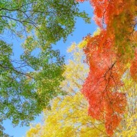 ??おはようございます