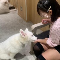 【本日15時～24時です】