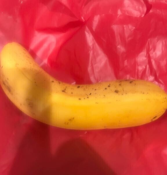 あした出勤だよ?