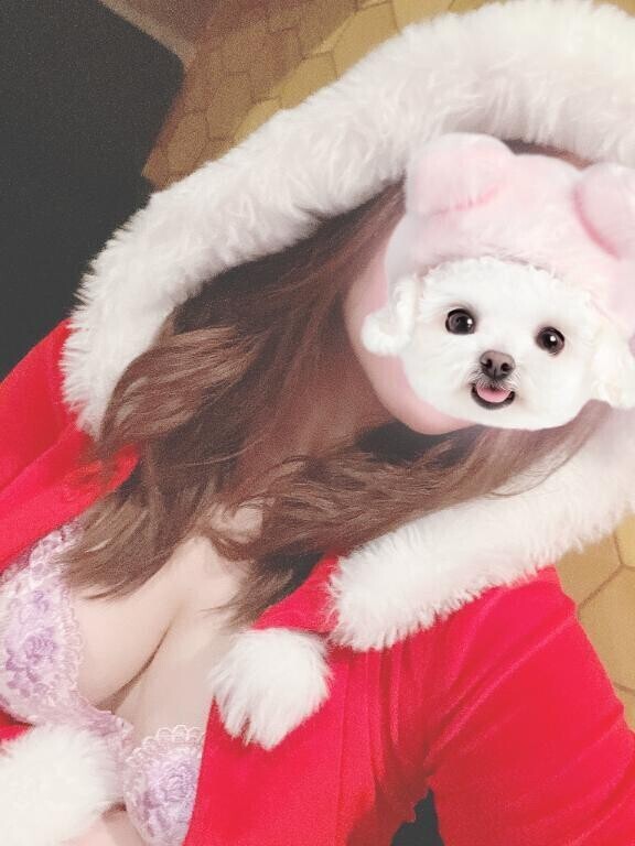 クリスマスの予定はお決まりですか?