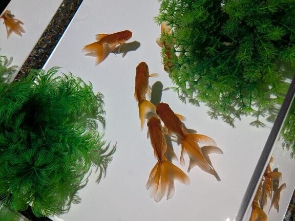 お仕事納め情報