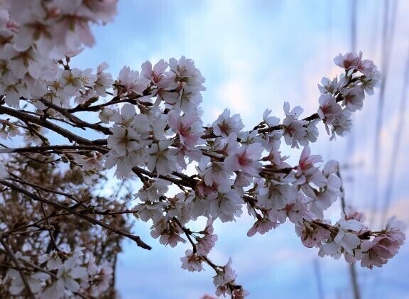 エロ画像なくてごめんw