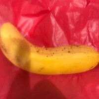 11日シフト追加?