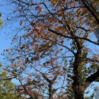 ごめんなさい??