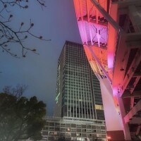 完売感謝です！