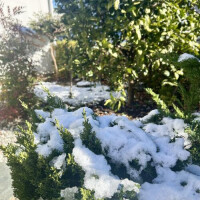 まだまだテンション上がっちゃう?