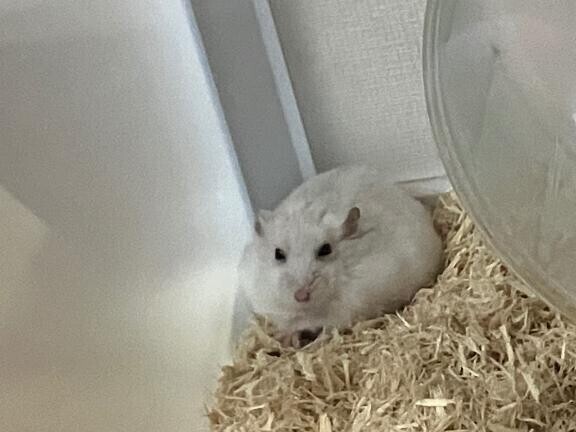 【本日の空き枠について】