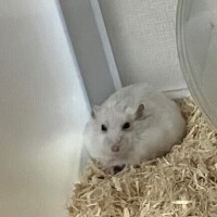 【本日の空き枠について】