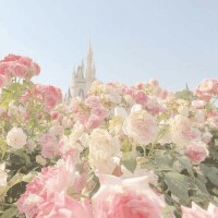 本日お誘いしてくれた社長さま