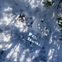 冬が寒くって 本当に良かった