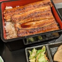 安い鰻屋さん行ってみた