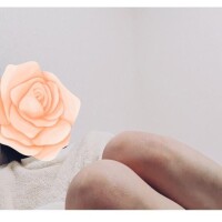 毎日が何かの日