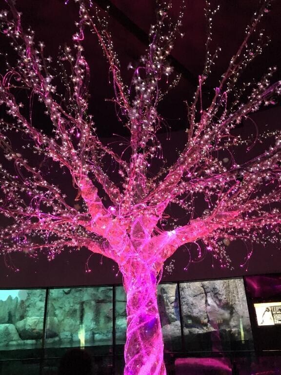 (」・ω・)今日は