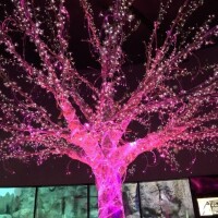 (」・ω・)今日は