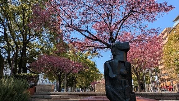 おはようございます^^