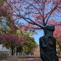 おはようございます^^