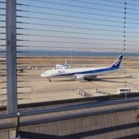 サクラ～咲け♪