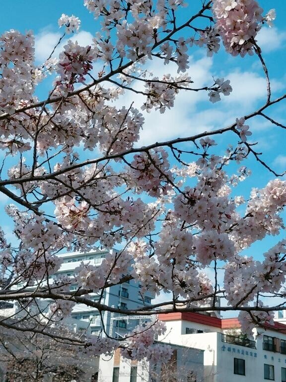 ???????次回ご案内10:00～