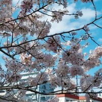 ???????次回ご案内10:00～