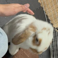 【??重要??】4月からの割引について