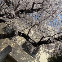 今日から新年度はじまり