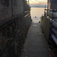 ひかる