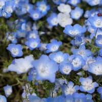 髪の毛きりました