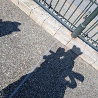 のの