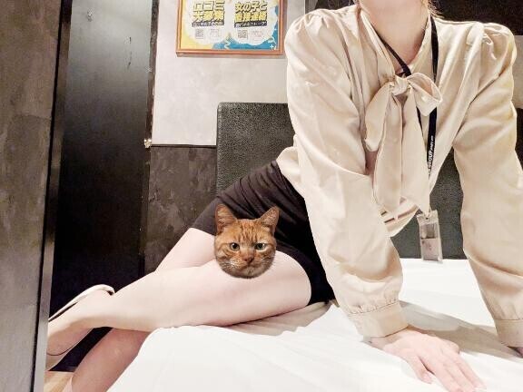 お礼