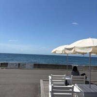 お礼?