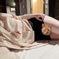 出勤?
