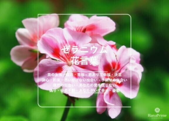 (」・ω・)貴方がいて幸せ??
