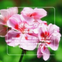 (」・ω・)貴方がいて幸せ??