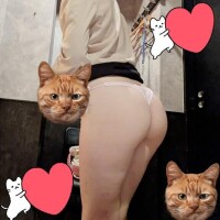 にゃんこ