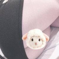 あみ