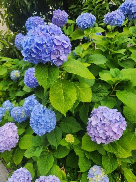 とても久しぶりですね