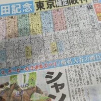 安田記念とはw