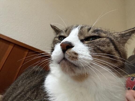 引き続き…??