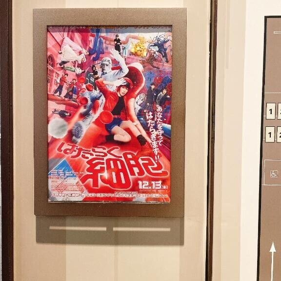 ? はたらく細胞