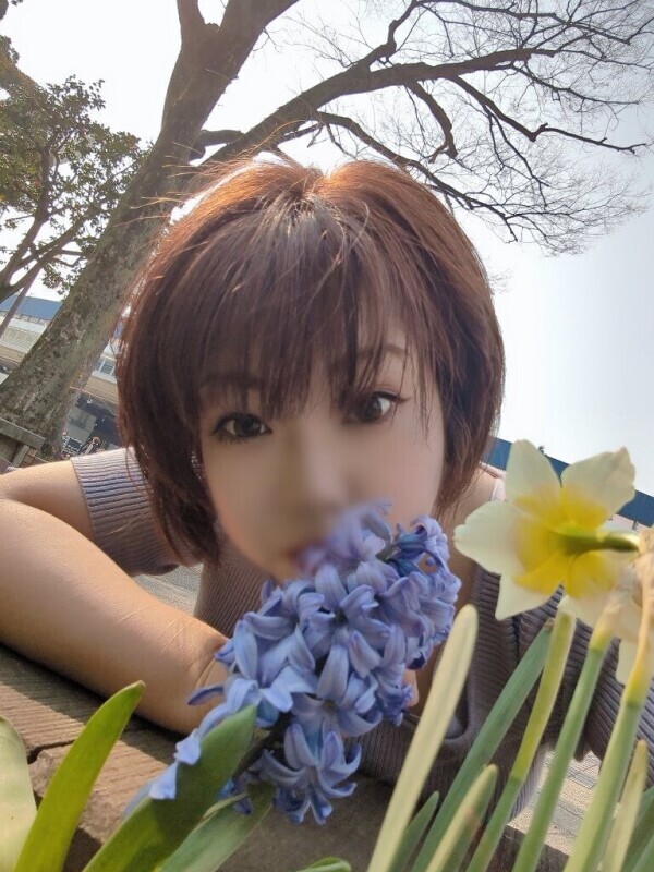 春ですね