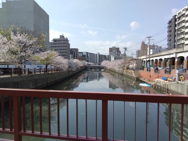おはようございます