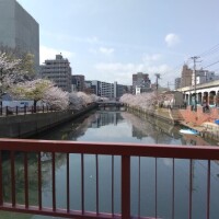 さゆ