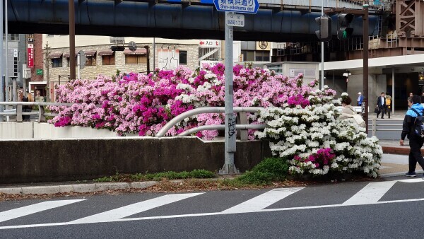 すっごい