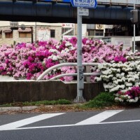 つむぎ