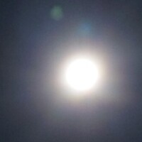 つむぎ