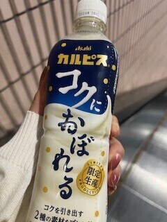新しいものに弱いです