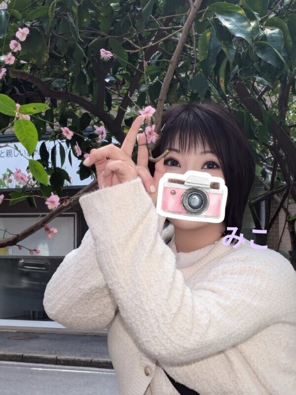 大通り公園の早咲き桜そろそろ？