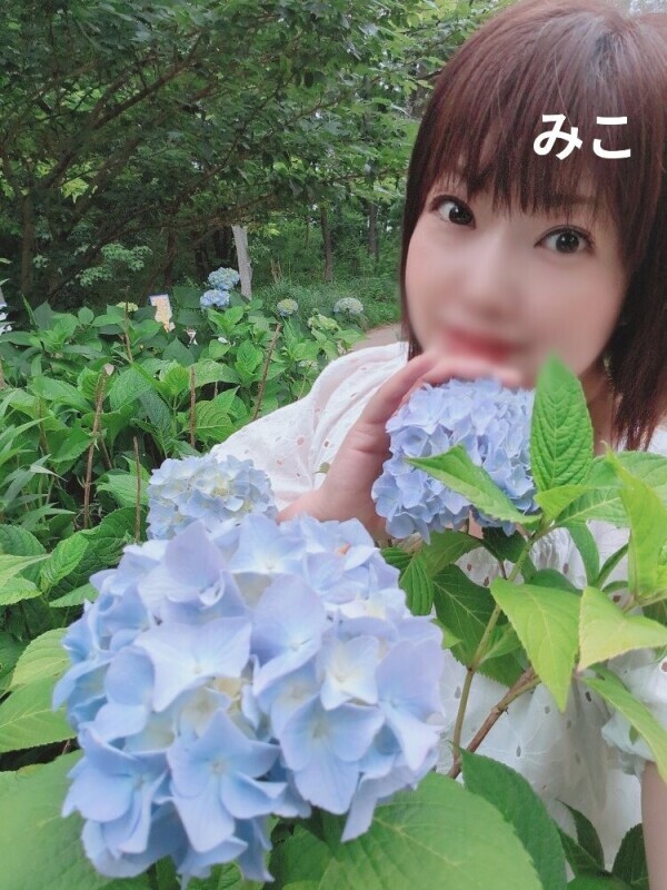 今週はお休みです
