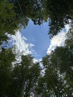 IMG_3096.jpeg